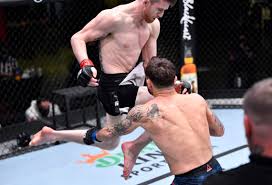 Most Brutal Knockouts in MMA History