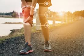 The Science of Muscle Recovery
