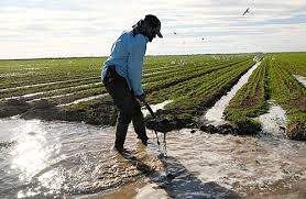 New UN Report Warns of Water Shortages by 2030