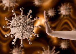 New Virus Discovered in Southeast Asia – WHO Investigates
