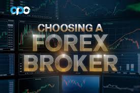 How to Choose a Reliable Forex Broker